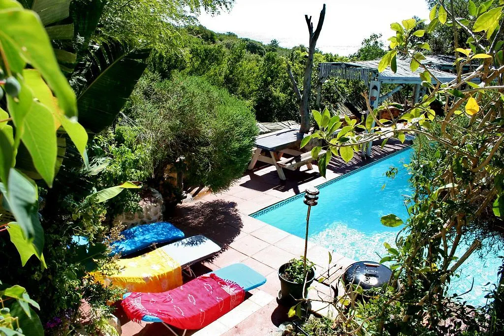 Bed and Breakfast Camps Bay Glen à Le Cap Couette-café